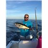 Image 4 : DOLPHIN, WAHOO, TUNA or BOTTOM FISHING / 4 PEOPLE, FULL DAY