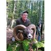 Image 3 : MOUFLON SHEEP  ~ SAFARI INTERNATIONAL MACEDONIA