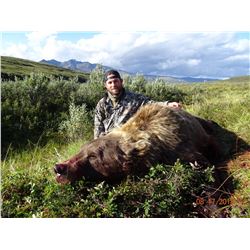 ALASKA 10 DAY BROWN BEAR HUNT