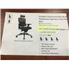 Image 2 : BLUE EUROTECH ERGOHUMAN HIGH BACK MESH & METAL CHAIR