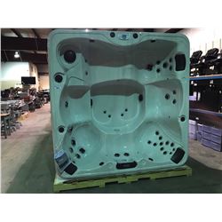 CAL SPA HOT TUB, ESCAPE SERIES,MIDNIGHT CANYON ARCY 90X90 MAHOGANY BASE,BENCH, 4 PILLOWS, 35