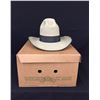 Image 3 : Vintage Stetson Cowboy Hat