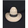Image 5 : Vintage Stetson Cowboy Hat