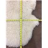 Image 3 : Large Sheepskin Blanket and Deer Hide