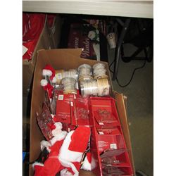 BOX OF LIGHT BULBS, SANTA OUTFIT FOR PETS, LED STRING LIGHTS, XMAS LED DOOR MAT, ETC