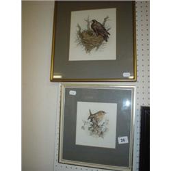 Two framed and glazed pen and ink pictures of birds by Anne Kearns