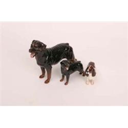 Three Beswick dogs, Cocker spaniel 1754 liver and white gloss, Rottweiler 3056 large and gloss and R