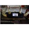 Image 1 : 1890 METIS HORN COAT RACK