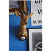Image 1 : TAXIDERMY GAZELLE HEAD MOUNT