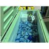 Image 2 : WHITE WOODS CHEST FREEZER WITH ICE PACKS AND FROZEN PET SUPPLIES
