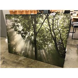 6X4' CANVAS "LIGHT THROUGH THE FOREST" PRINT