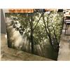 Image 1 : 6X4' CANVAS "LIGHT THROUGH THE FOREST" PRINT