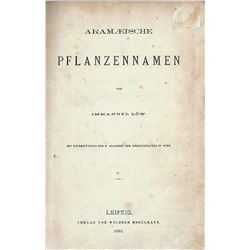 Immanuel Loew "Aramaeische Pflanzennamen", 1881