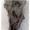 Image 6 : An Old Abstract Patina Bronze Head of a Man 1/9
