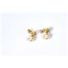 Image 2 : A pair of 14K gold earrings with a Japanese pearl and tiny diamonds
