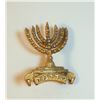 Image 1 : Kadima - The First Jewish Legion of Judah symbol