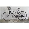 Image 1 : GREY CCM BIKE