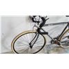 Image 3 : GREY CENTURION BIKE