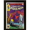 Image 1 : THE AMAZING SPIDER-MAN 196