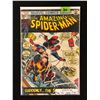 Image 1 : THE AMAZING SPIDER-MAN NO. 116