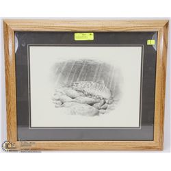 FRAMED BROWN TROUT LITHOGRAPH BY DALLEN