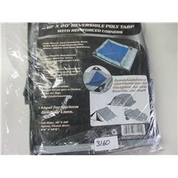 10 x 20 Tarp Reversable