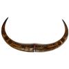 Image 1 : Hand Carved Water Buffalo Horns