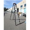 Image 1 : 12 Foot Altrex Folding Ladder