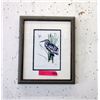 Image 1 : Richard Shorty Framed Print