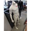 Image 1 : Full Size Male Mannequin