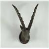 Image 1 : OUTSTANDING LARGE CARVED WOOD AND PAINTED ANTELOPE TROPHY MOUNT.