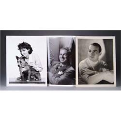 CLARENCE SINCLAIR BULL PHOTO LOT.