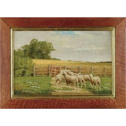 CLINTON LOVERIDGE (American, 1824-1902) SHEEP IN GOLDEN FIELD.