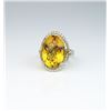 Image 1 : Captivating Citrine Ring