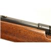 Image 4 : Savage 22-Shot .22 Smooth Bore SN: 2