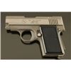 Image 2 : AMT Back Up .22 LR SN: F02261