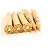 Image 3 : Lot of 45ACP Brass