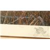 Image 3 : Limited Edition Fine Art Print by Harry C. Adamson