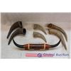 Image 2 : Assorted Animal Horns