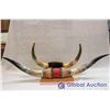Image 2 : Mounted Horns (2)