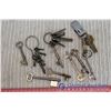 Image 2 : Lot of Skeleton Keys