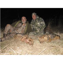 Macedonia Wolf Hunt