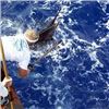 Image 4 : Offshore fishing trip for 6 Anglers