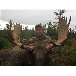 Moose Hunt