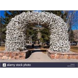 Summer Trip to Jackson Hole Wyoming