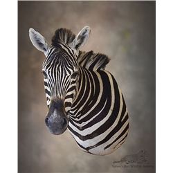 3 Shoulder Mounts or 1 Lifesize Mount