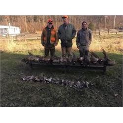 Upland Bird Hunt