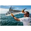 Image 4 : Costa Rico Sport Fishing