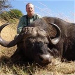 Trophy Cape Buffalo and Sable