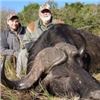 Image 2 : Trophy Cape Buffalo and Sable
